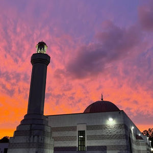 Meet your Posher, Meena